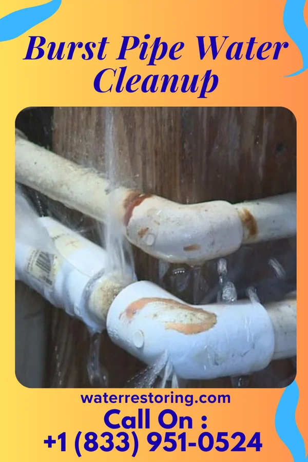 Burst Pipe Water Cleanup in Bloomsburg, PA