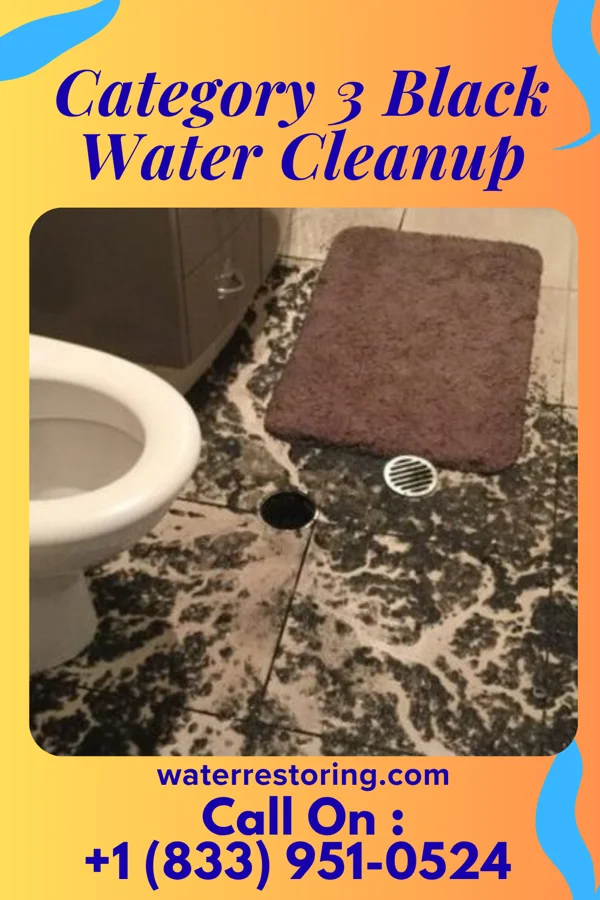 Category 3 Black Water Cleanup in Bloomsburg, PA
