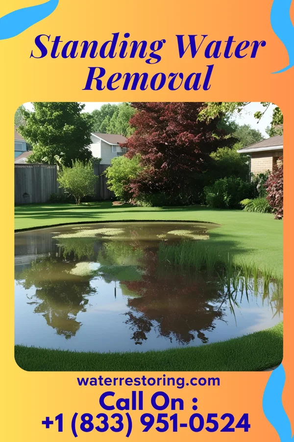 Standing Water Removal in Bloomsburg, PA
